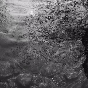 国产毛片子网站
